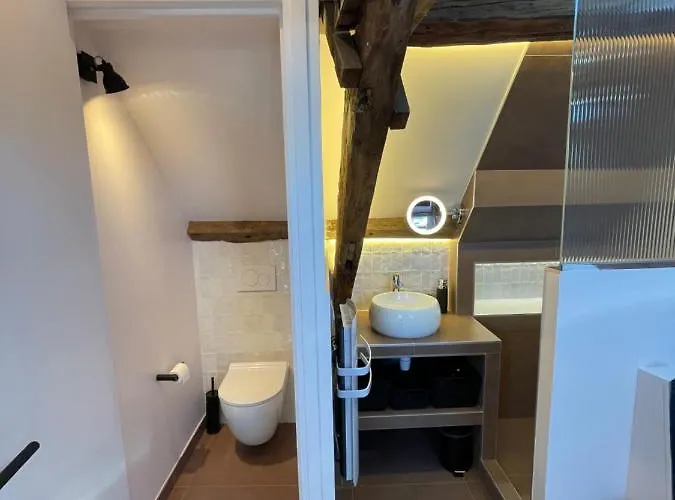 Nid D'amour Sous Les Toits ! Apartamento *